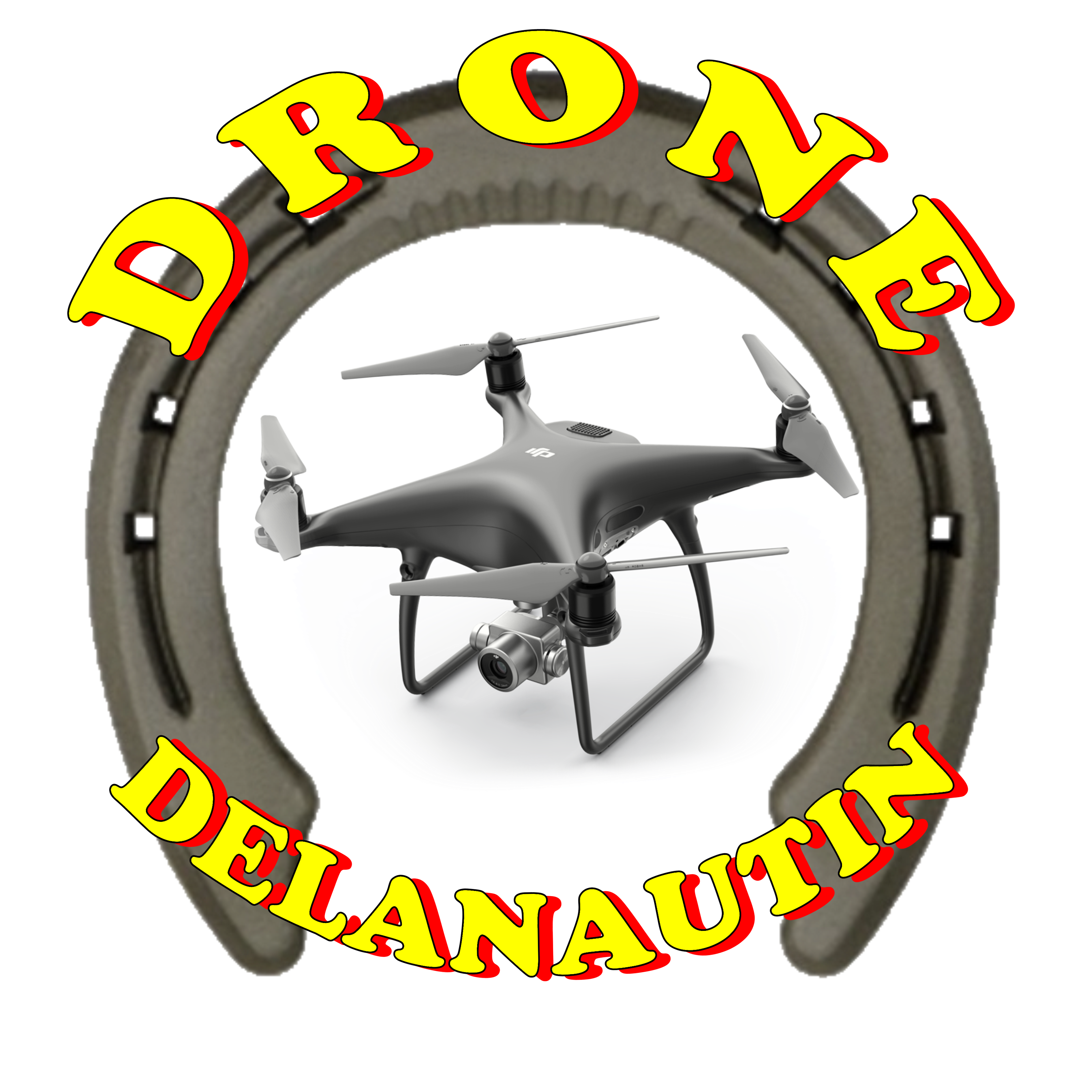  logo drone delanautin 